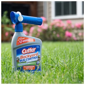insect control cutter killer bug backyard oz