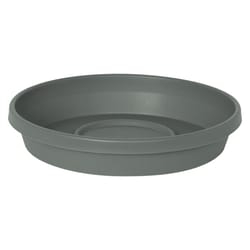 Bloem Terra 2.5 in. H X 13 in. W X 11.25 in. D Plastic Traditional Plant Saucer Basil