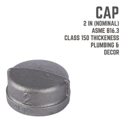 STZ Industries 2 in. FIP each Black Malleable Iron Cap