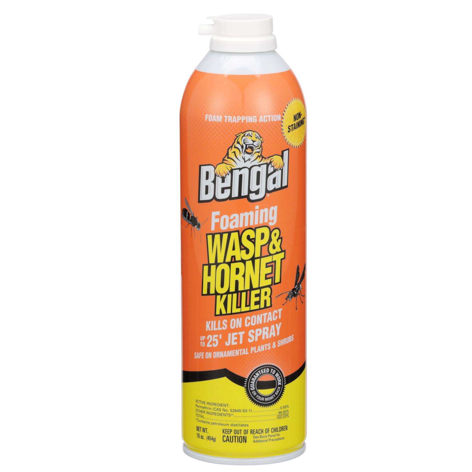 Bengal Foaming Insect Killer Foam 16 oz Ace Hardware