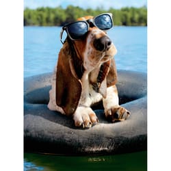 Avanti Press Seasonal Basset Hound (Dean) Wearing Su Father's Day Card Paper 2 pc