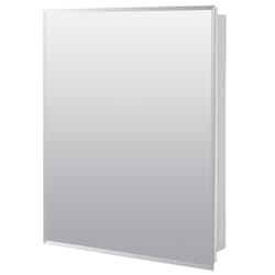 Zenna Home 30.5 in. H X 24.25 in. W X 5 in. D Rectangle Medicine Cabinet/Mirror