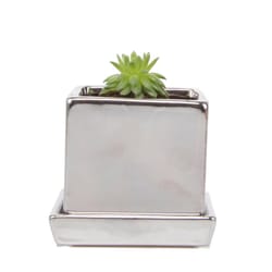 Chive Cube and Saucer 3 in. D Ceramic Succulent Pot Silver