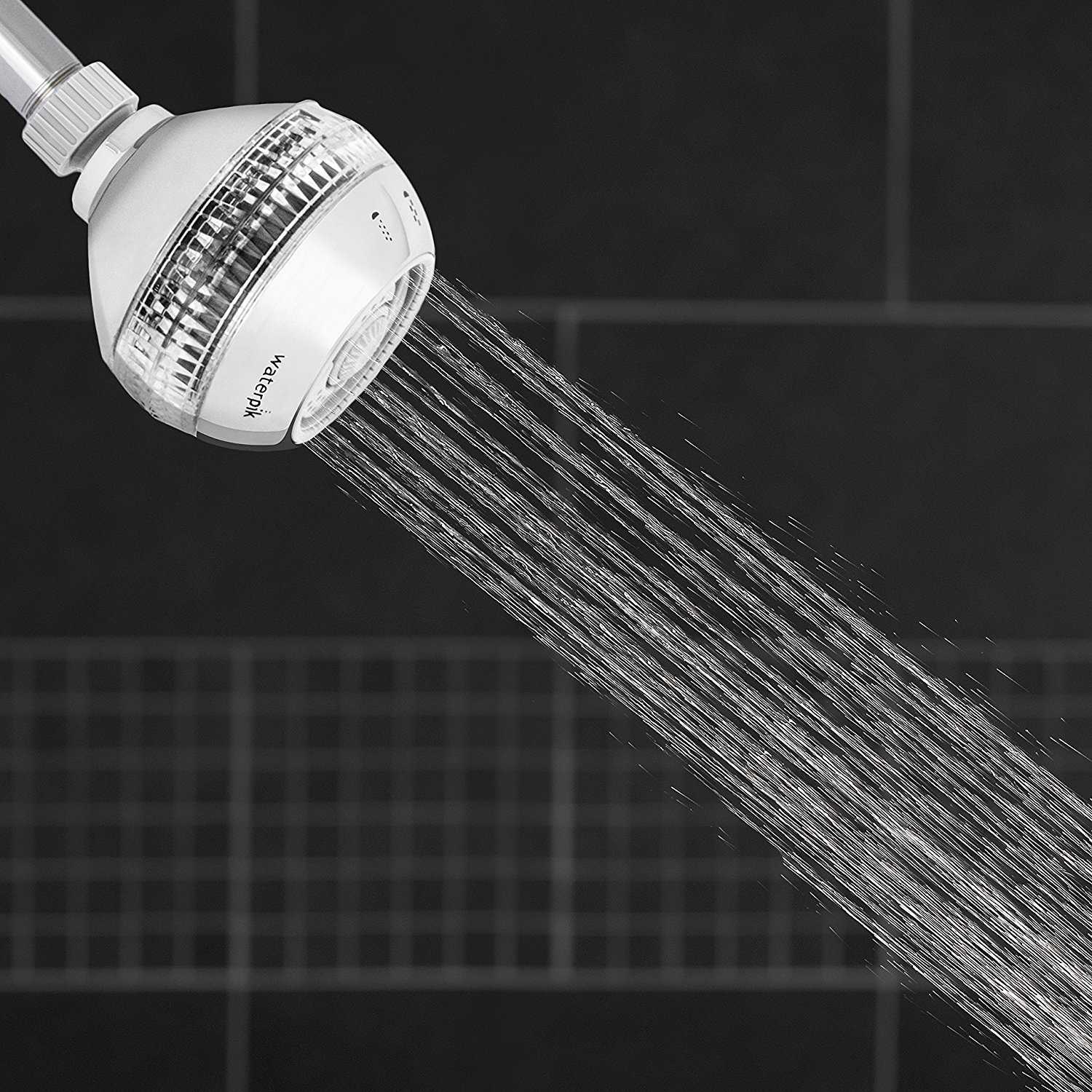 Waterpik EcoFlow Chrome 4 settings Showerhead 1.8 gpm Ace Hardware