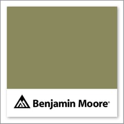 Benjamin Moore Nature'S Reflection 504