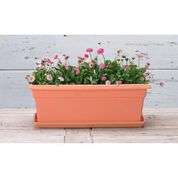 Novelty 1 in. H X 7 in. W X 18 in. D X 18 in. D Plastic Countryside Flower Box Tray Terracotta