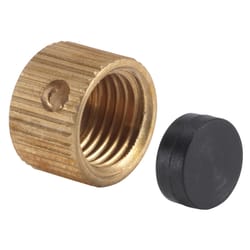 Homewerks Brass Brass Drain Cap 1 pc