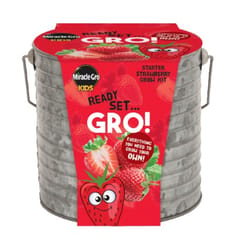 Miracle-Gro Kids Strawberry Roots Seeds with Planter 1 pk