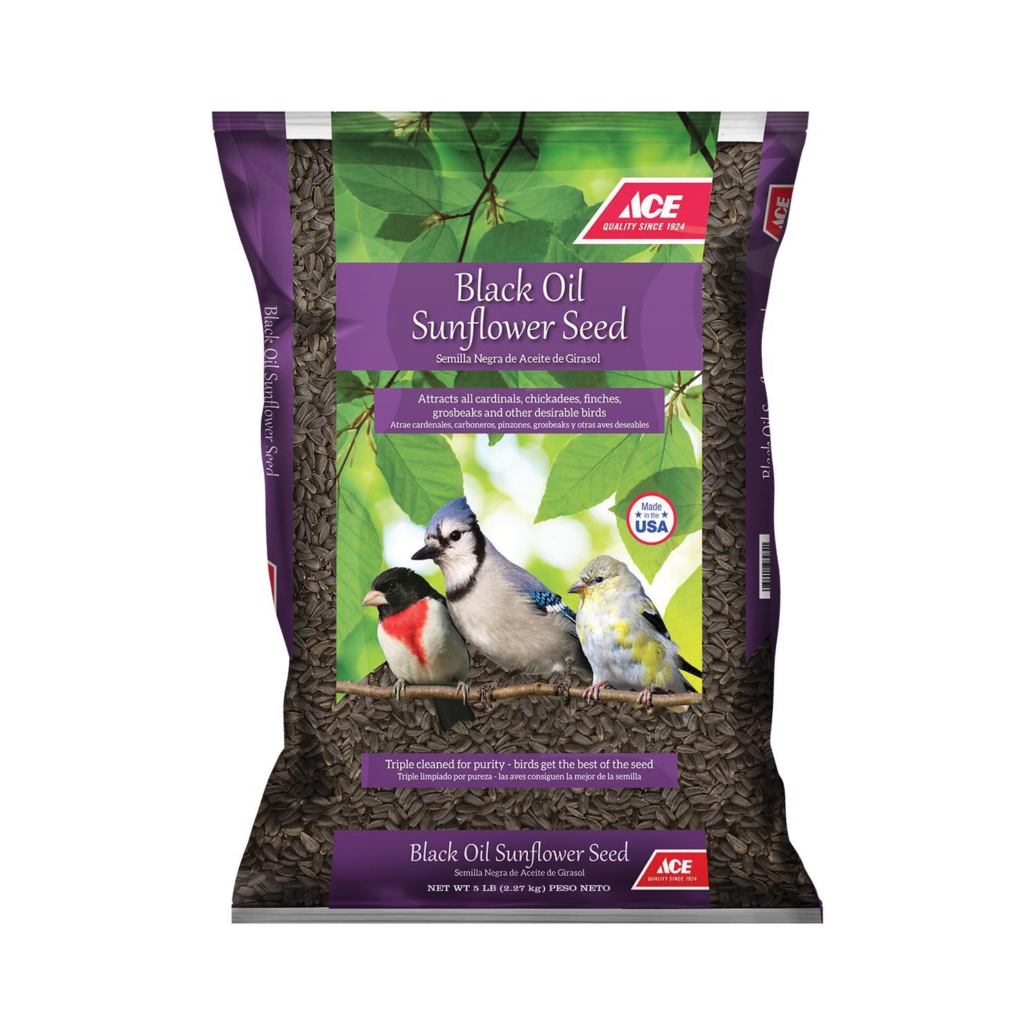 Ace Songbird Black Oil Sunflower Seed Wild Bird Food 5 lb Mfr ACEBOS05 Ace Hardware
