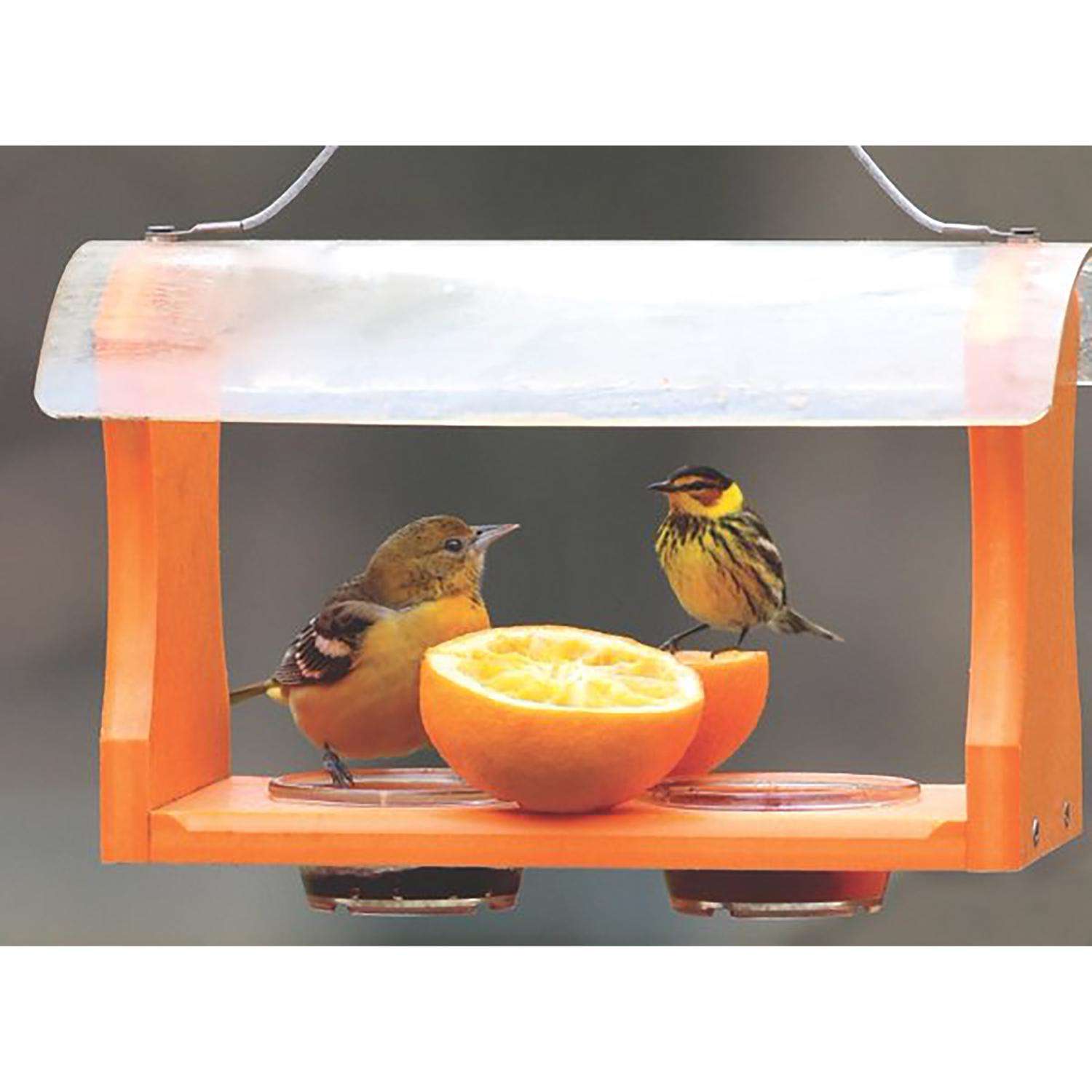 Birds Choice Oriole 2 cups Plastic Bird Feeder Ace Hardware