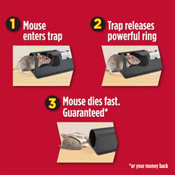 Amdro Small Multiple Catch Trap For Mice 1 pk