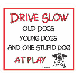 Signs Up English White Novelty Sign 11 in. H X 11 in. W