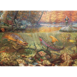 Cobble Hill Autumn Dream Day Jigsaw Puzzle 1000 pc