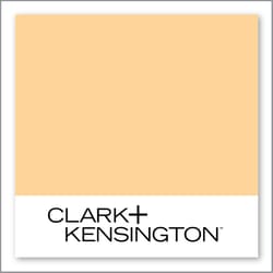 Clark+Kensington Arizona Sun 14D-3