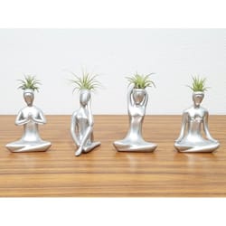 Eve's Garden Ceramic Yoga on The Beach Air Plant and Succulent Silver