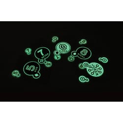 Kikkerland Glow-In-The-Dark Playing Cards