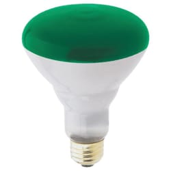 Westinghouse 75 W BR30 Reflector Incandescent Bulb E26 (Medium) Green 1 pk