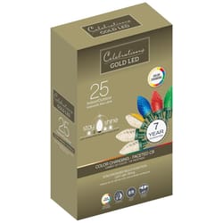 Celebrations Gold LED C9 Multicolored/Warm White 25 ct String Christmas Lights 8 ft.
