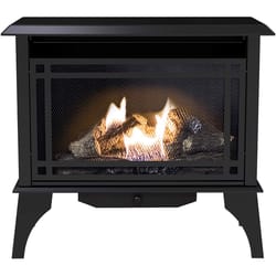 Pleasant Hearth 1000 sq ft 30000 BTU Natural Gas/Propane Wall Fireplace Heater