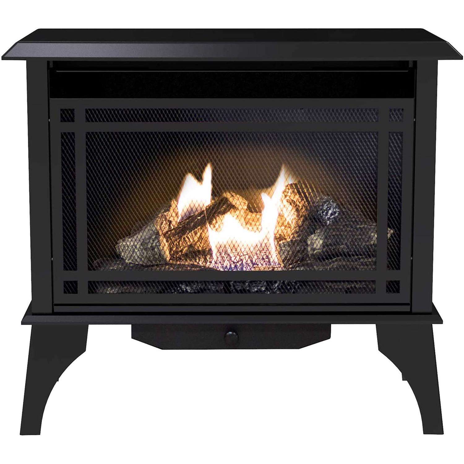 Pleasant Hearth 1000 sq ft 30000 BTU Natural Gas/Propane Wall Fireplace  Heater - Ace Hardware