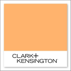 Clark+Kensington Peach Marmalade 13D-4