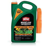 Ortho WeedClear Weed Killer RTU Liquid 1 Gal