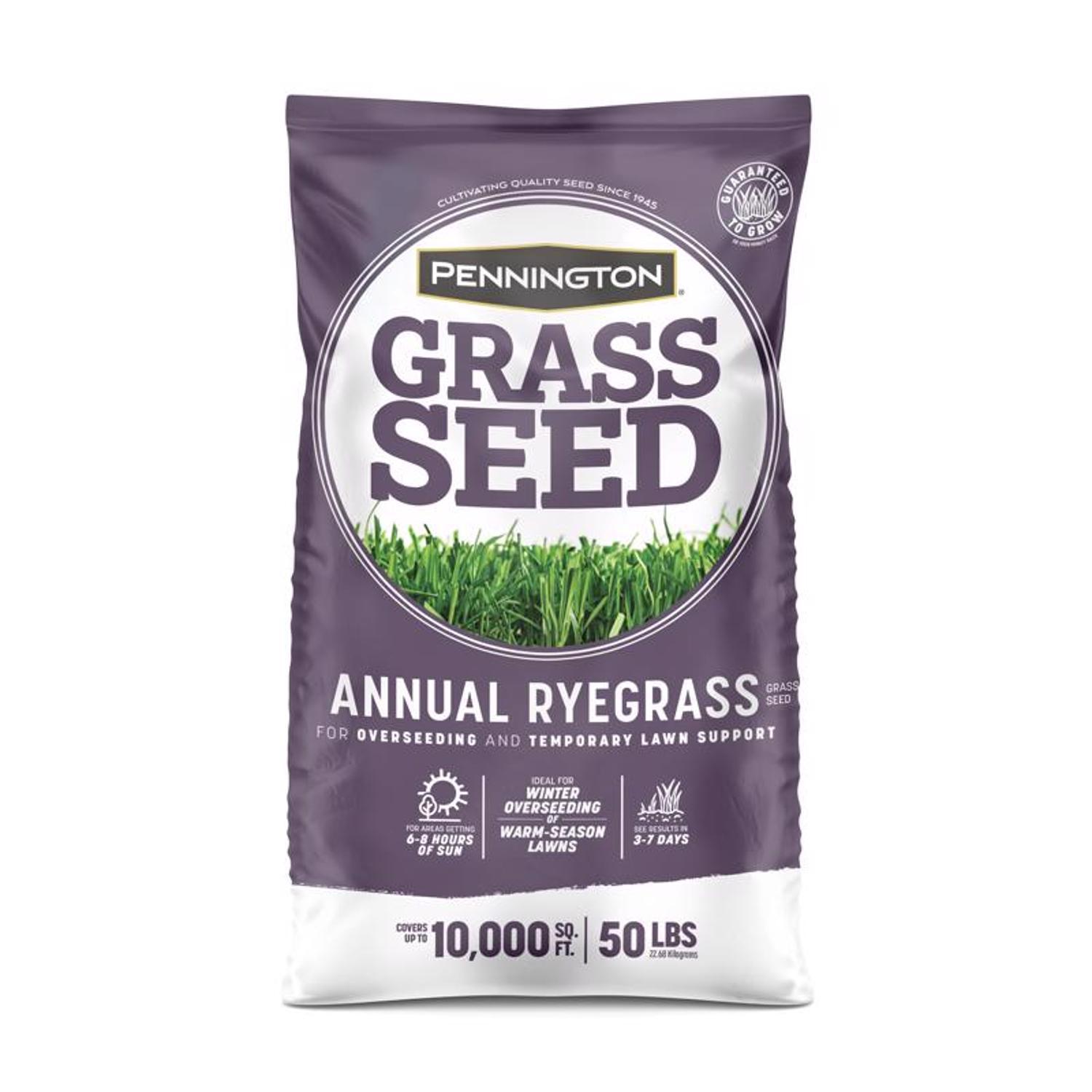 Pennington Annual Ryegrass Full Sun/Light Shade Grass Seed