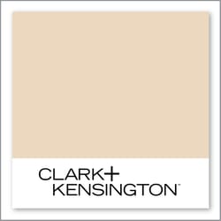 Clark+Kensington Vanilla Scone 18A-2