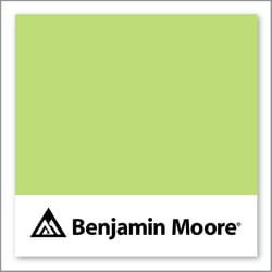 Benjamin Moore Feel The Energy 417