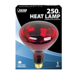 Feit 250 W BR40 Heat Lamp Incandescent Bulb E26 (Medium) Red 1 pk