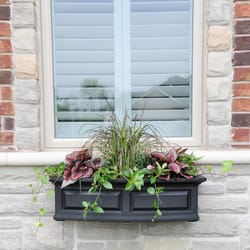 Mayne Nantucket 10 in. H X 11.5 in. W X 36 in. D Plastic Window Box Black