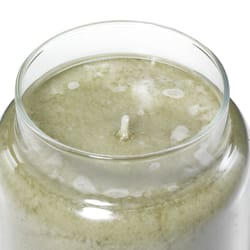 Yankee Candle Green Sage & Citrus Scent Large Candle Jar 22 oz