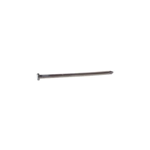 Grip-Rite 8 in. Spike Hot-Dipped Galvanized Steel Nail Flat Head 50 lb Grip-Rite 8 in. Spike Hot-Dipped Galvanized Steel Nail Flat Head 50 lb