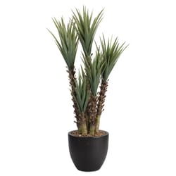 DW Silks 66 in. H X 34 in. L Polyester Yucca Plant in Black Planter
