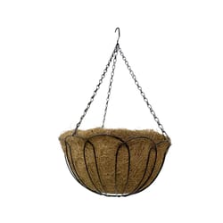 Living Accents 14 in. D Steel Hanging Basket Black