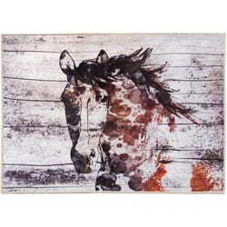 Olivia's Home 22 in. W X 32 in. L Multi-Color Canyon Mustang Polyester Accent Rug