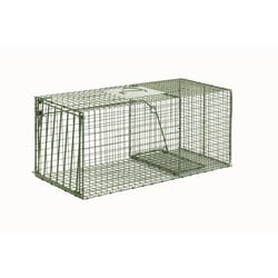 Duke Trap Large Live Catch Cage Trap For Raccoons 1 pk