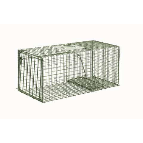 Duke Trap Large Live Catch Cage Trap For Raccoons 1 pk - Ace Hardware