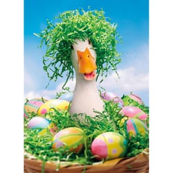 Avanti Seasonal Duck with Easter Grass Wig Easter Card Paper 2 pc
