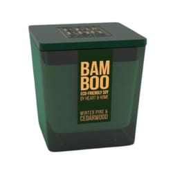 Bamboo Home Fragrance Green Cedarwood & Winter Pine Scent Candle