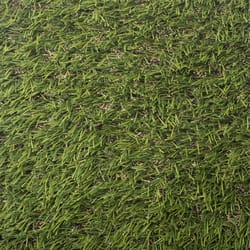 SYNLawn Fern 15 ft. W X 30 ft. L Green Polyethylene Astroturf