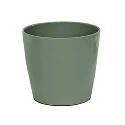 Bamboo Blooms 6.3 in. H X 7 in. D Bamboo Flower Pot Light Green