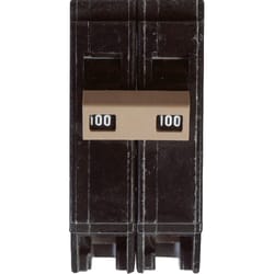 Eaton 100 amps Plug In 2-Pole Circuit Breaker