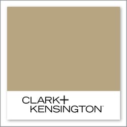 Clark+Kensington Celery Salt N-W27