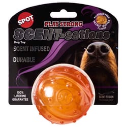 Spot Orange Ball TPR Pet Toy 2.75 in. 1 pk