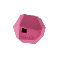 Pet Shop by Fringe Studio Hot Pink Rubber Having A Ball  Dog Toy 1 pk