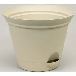 Misco QuickView 10.71 in. H X 13.8 in. D Plastic Planter Latte Quartz