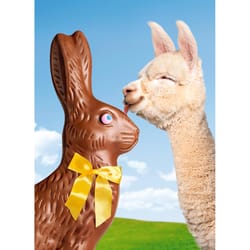 Avanti Seasonal Llama and Chocolate Bunny Easter Card Paper 2 pc