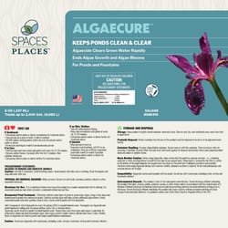 Beckett Algaecure Algaecide 8 oz