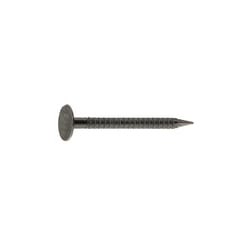 Grip-Rite 1-1/2 in. Drywall Bright Steel Nail Flat Head 50 lb